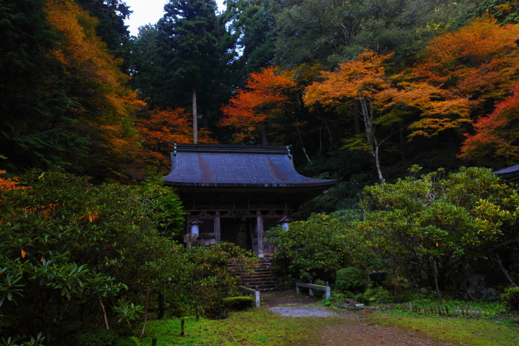 e0051888_024389.jpg