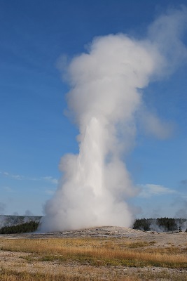 f0199394_927032.jpg