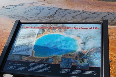 f0199394_9351691.jpg