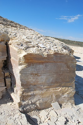 f0199394_9572820.jpg