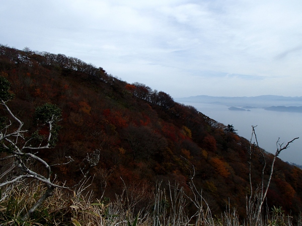 b0039898_1704412.jpg