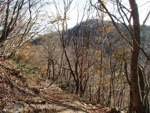 b0039898_1711213.jpg