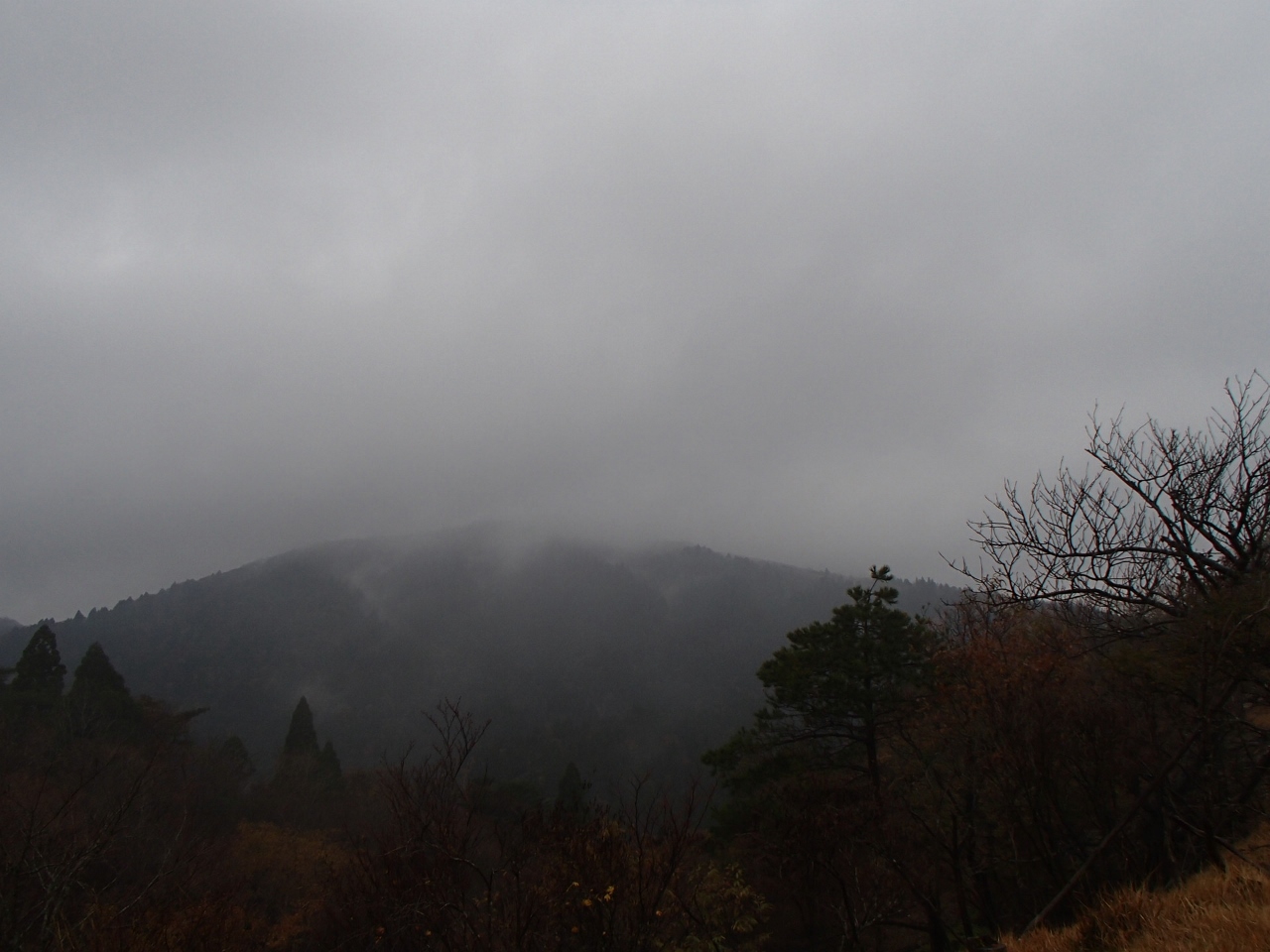 b0039898_1744549.jpg