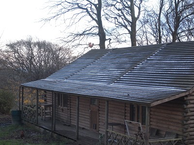b0110999_154477.jpg