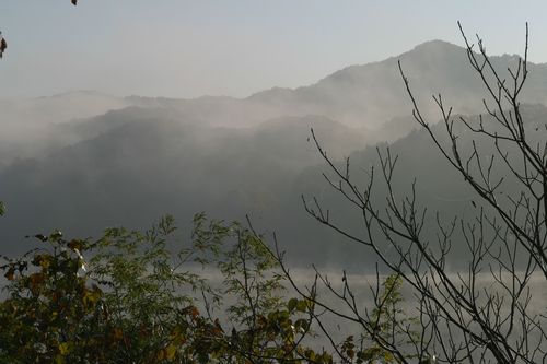 b0220099_8145617.jpg