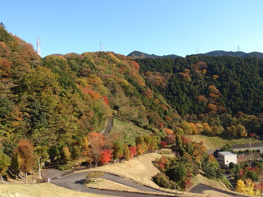 b0160300_22553787.jpg