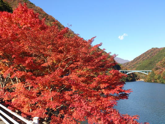 b0160300_22554881.jpg