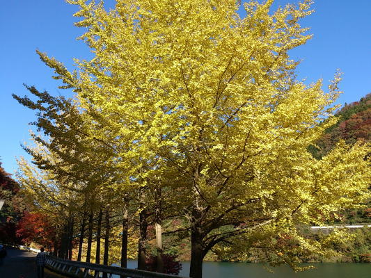 b0160300_2256798.jpg