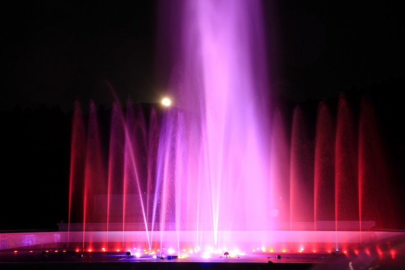 a0188405_17312957.jpg