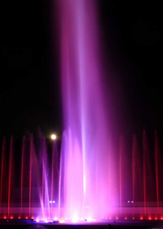 a0188405_1731475.jpg