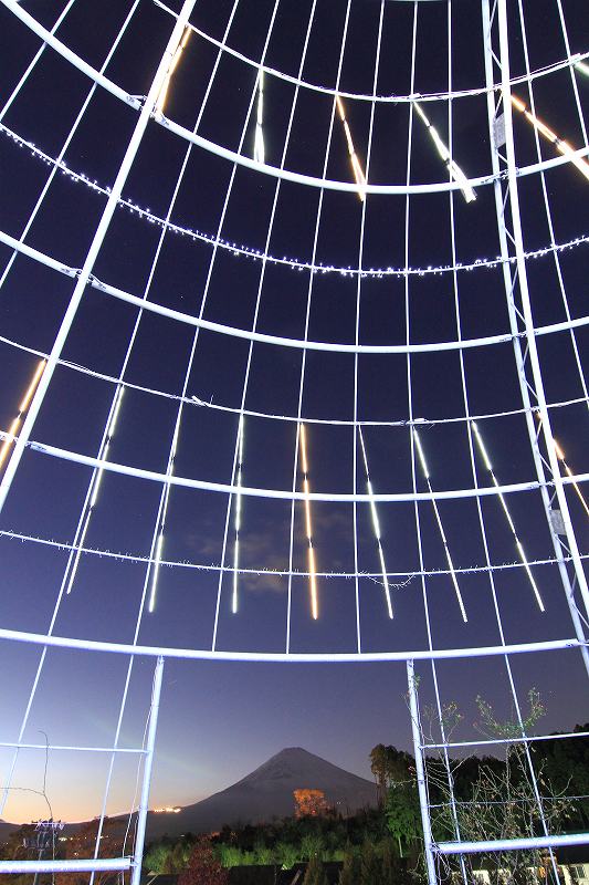 a0188405_22565828.jpg