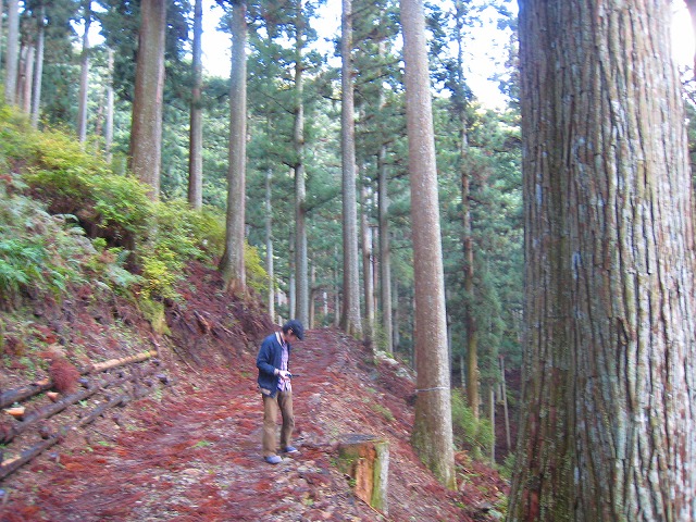e0002820_8275428.jpg