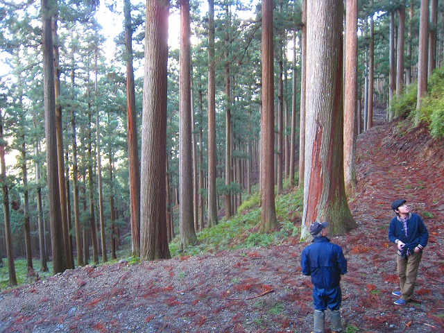 e0002820_8284936.jpg