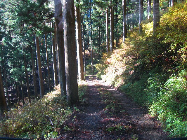 e0002820_8323586.jpg