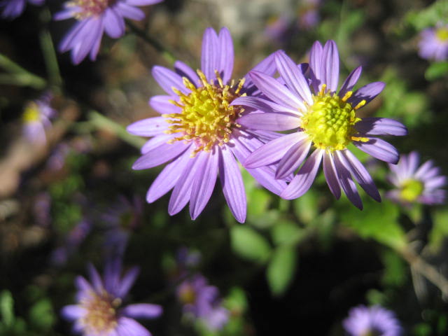 f0139520_10301222.jpg