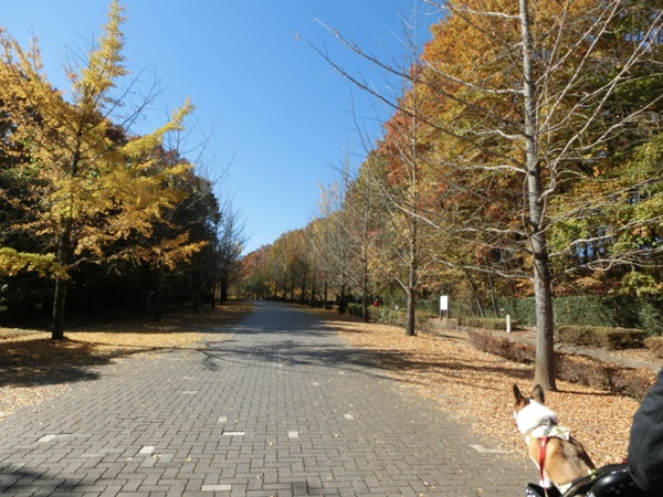 f0182121_2123950.jpg