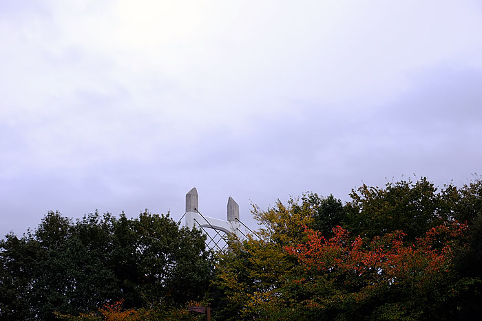 f0067724_174721.jpg