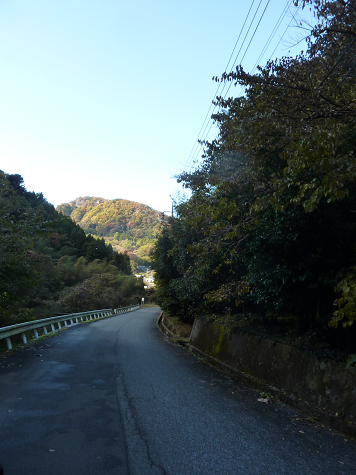 d0153627_235692.png