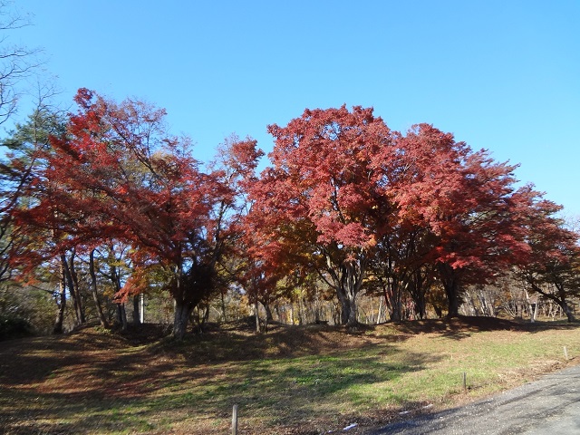 e0145328_1051285.jpg