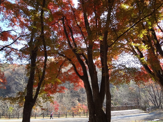 e0145328_10522024.jpg