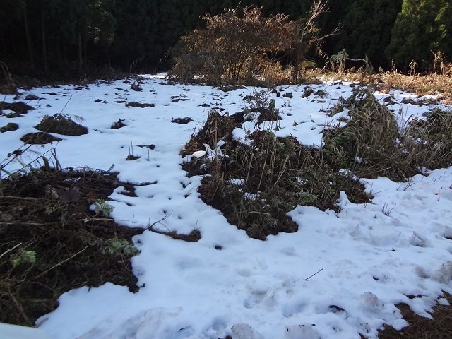 e0145328_10535148.jpg