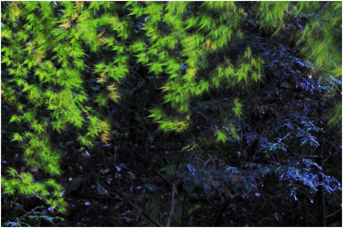d0029829_6263896.jpg