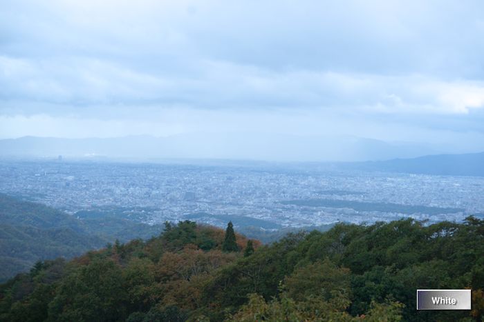 c0227134_212286.jpg