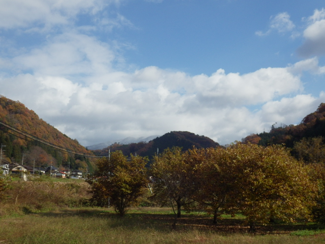 c0300035_1121399.jpg