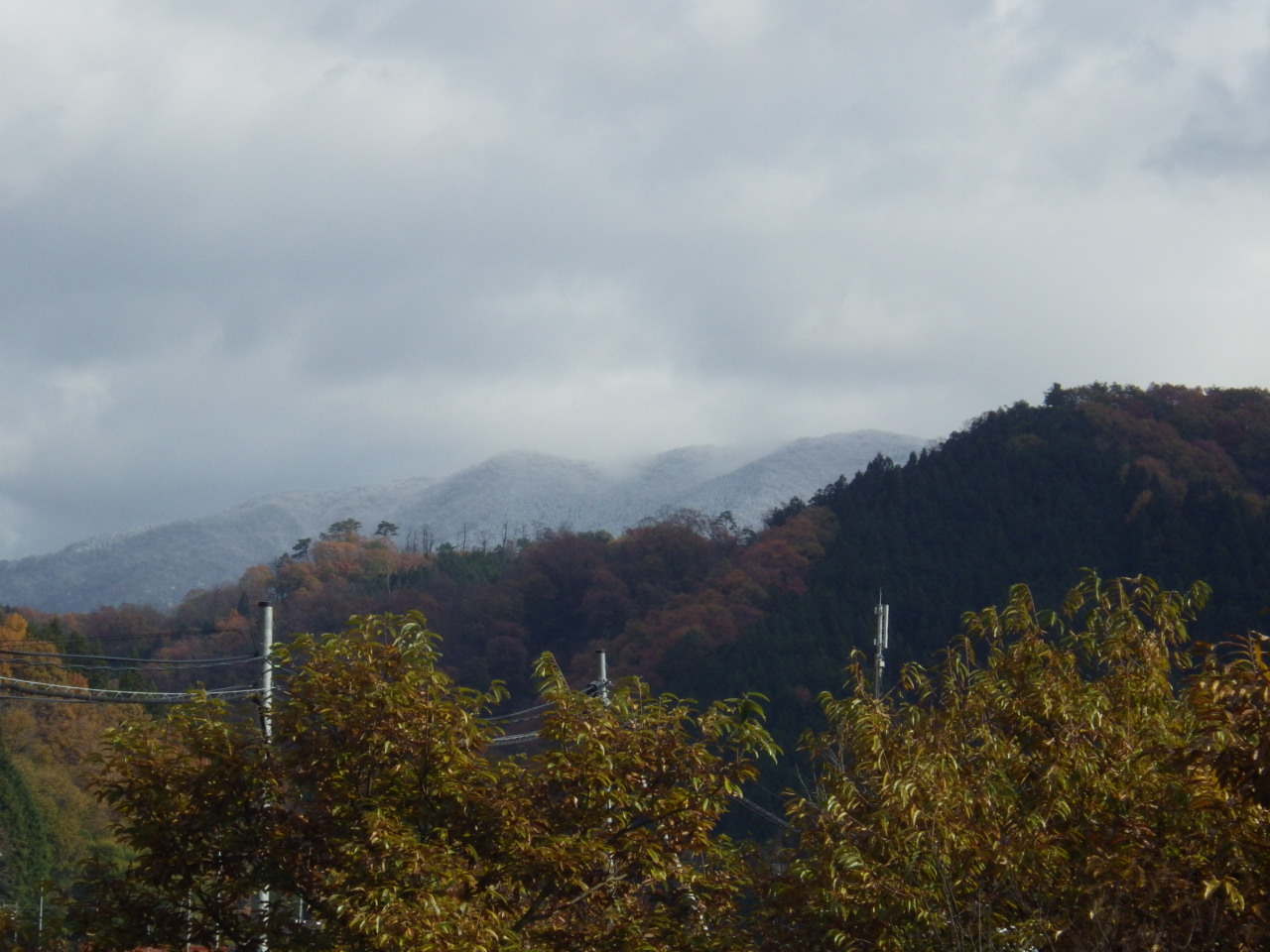 c0300035_1122571.jpg