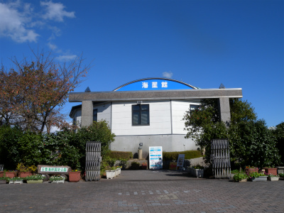e0272335_1849893.jpg