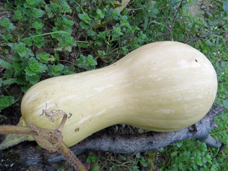 f0234936_2013513.jpg