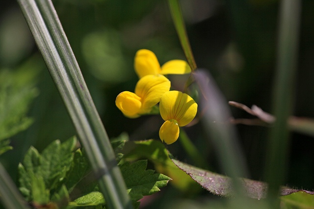 a0242438_19404436.jpg