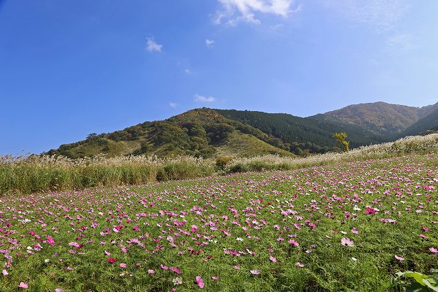 a0242438_19404950.jpg
