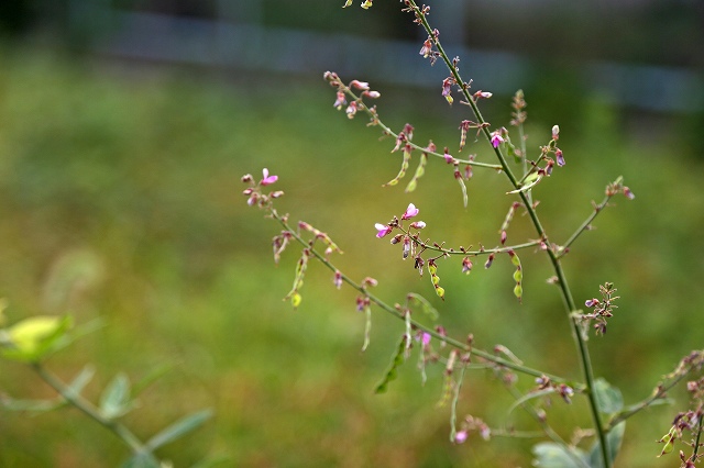a0242438_19425470.jpg
