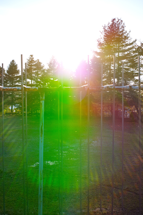 a0049639_19323636.jpg