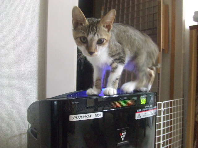 a0319840_3152928.jpg