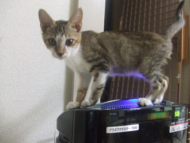 a0319840_3163839.jpg