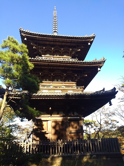 b0002644_19531043.jpg
