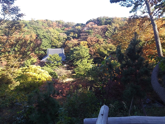 b0002644_19532868.jpg