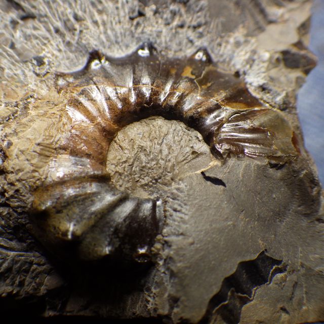 e0290546_2038241.jpg