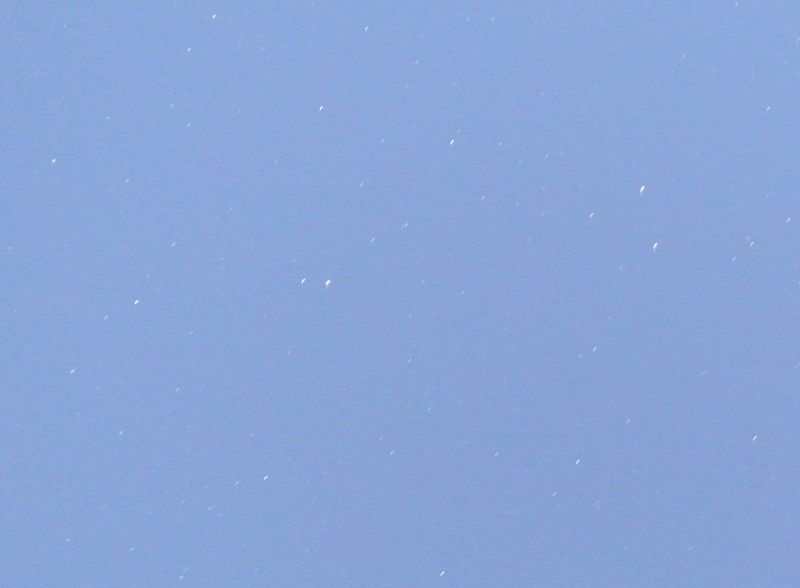 c0063348_844268.jpg