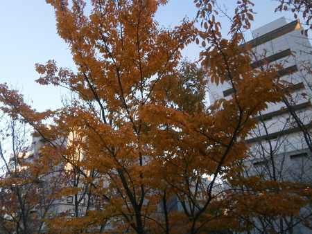 e0121548_20352561.jpg