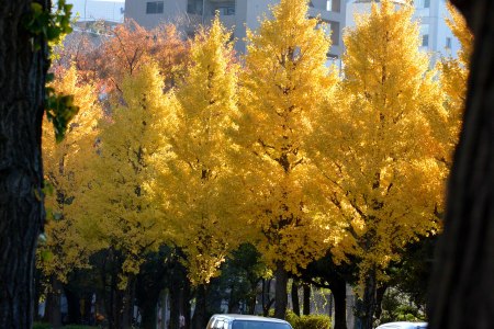 b0208457_16545682.jpg