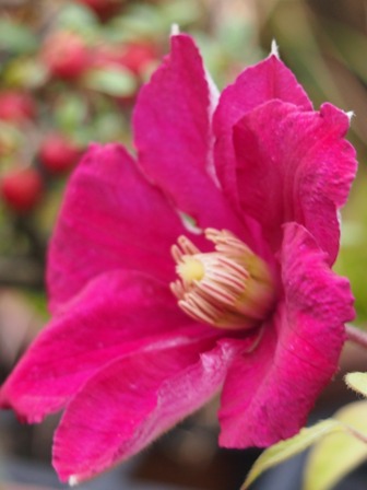 b0246758_927247.jpg