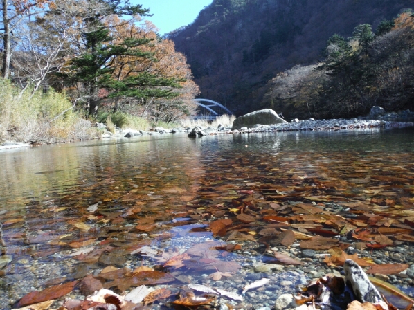 b0304662_22384032.jpg