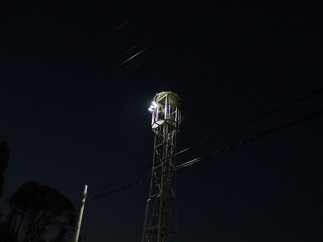 e0078069_1231161.jpg