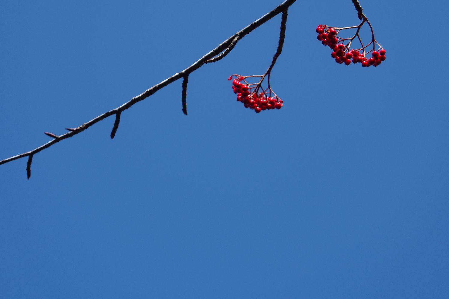 e0307372_21240195.jpg