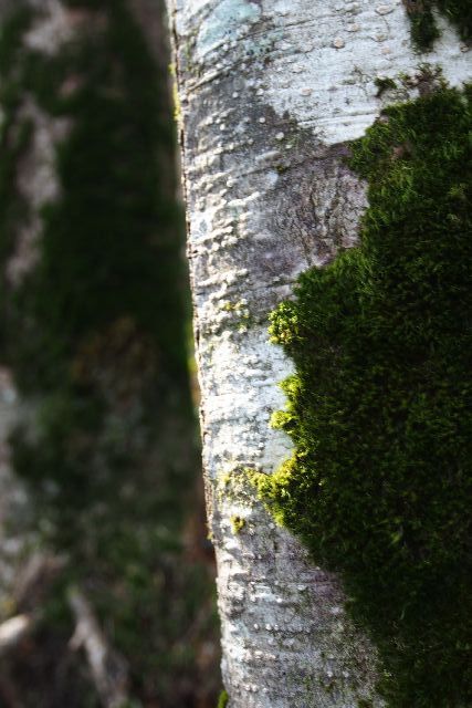 e0307372_22070271.jpg