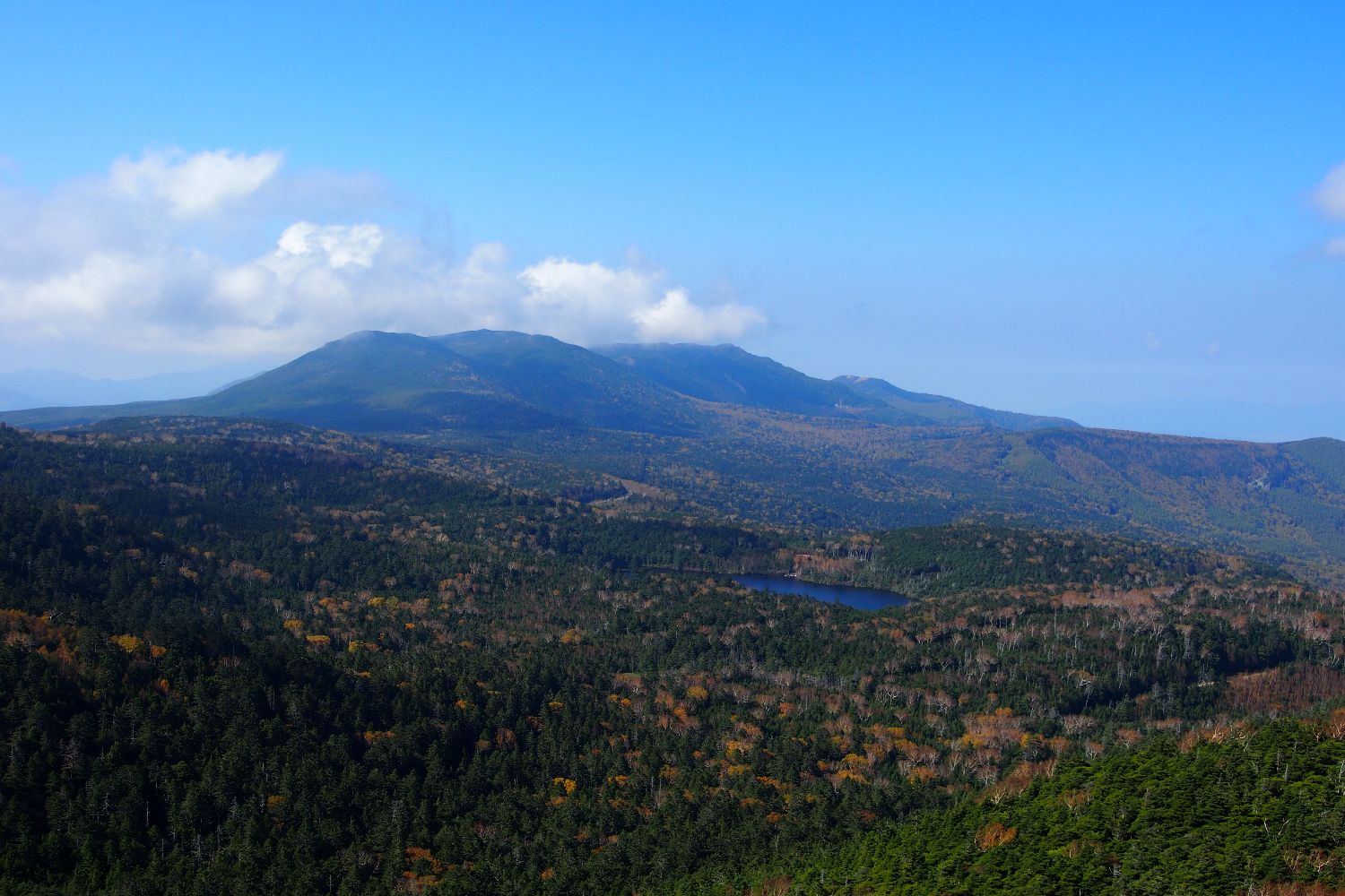 e0307372_22075998.jpg