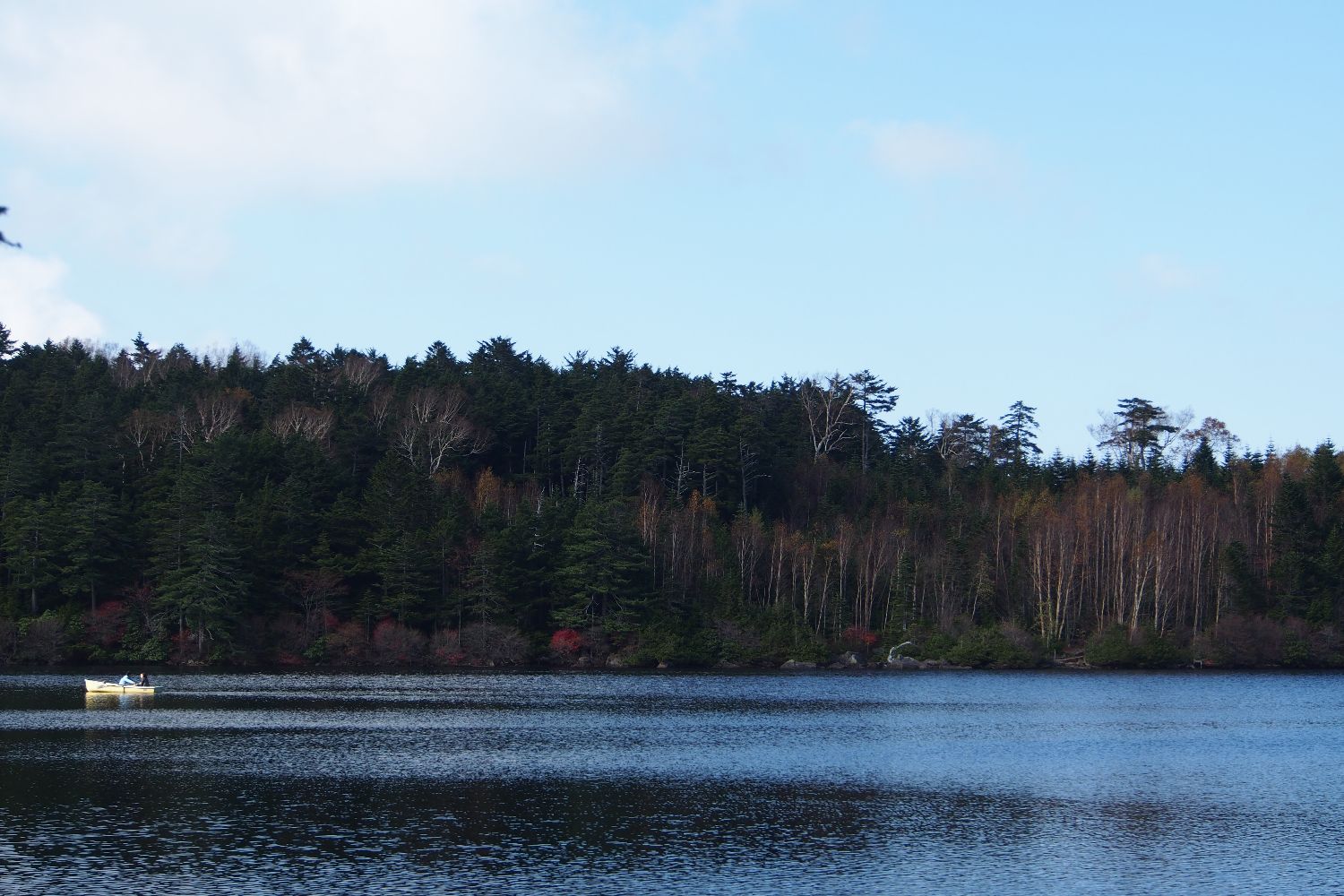 e0307372_22291828.jpg
